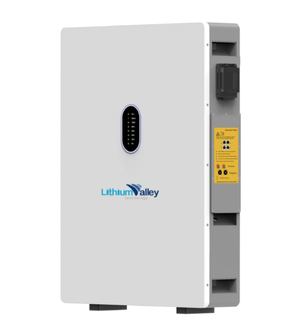 Lithium Valley 10.24kwh Wall Mount Battery 51.2V 200AH