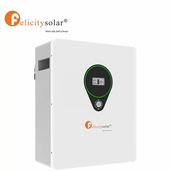 Felicitysolar 2.5kW LiFepo4 24v lithium Battery - Image 2