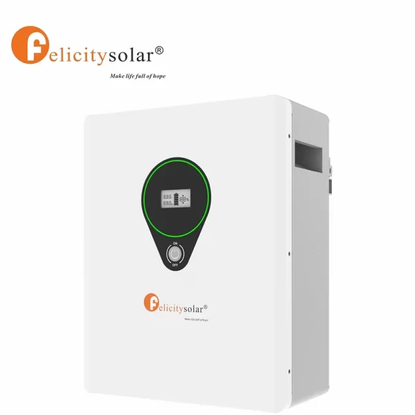 Felicitysolar 2.5kW LiFepo4 24v lithium Battery - Image 3